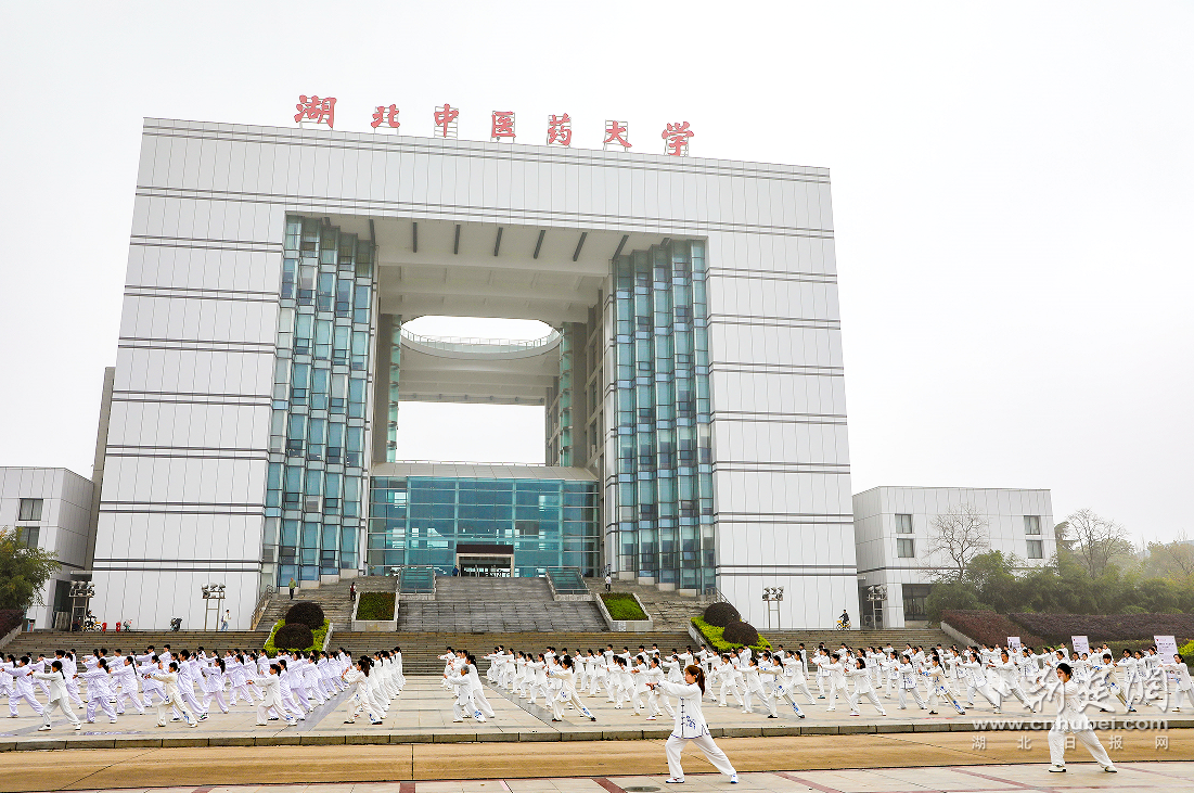 ��ͳ�Ļ�����ȫ�񽡿���������ҽҩ��ѧ���ݡ�ȫ��̫����